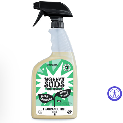 Laundry Stain Remover Spray – Molly’s Suds