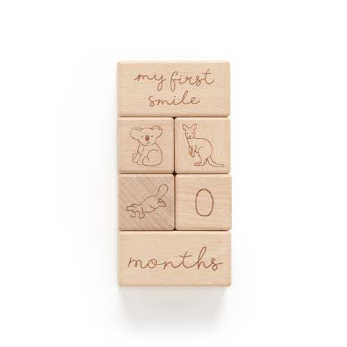 Purebaby Milestone Blocks Natural