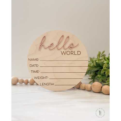 Hello World Baby Announcement Sign | Baby Sign For Hospital | Welcome Baby Sign | Hello World | Baby Sign For Hospital | Gender Neutral Sign
