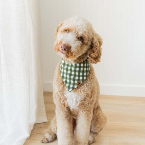 Dog Bandana in Gingham Fir
