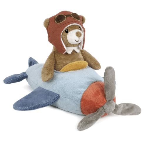 Pilot Bear and Plane