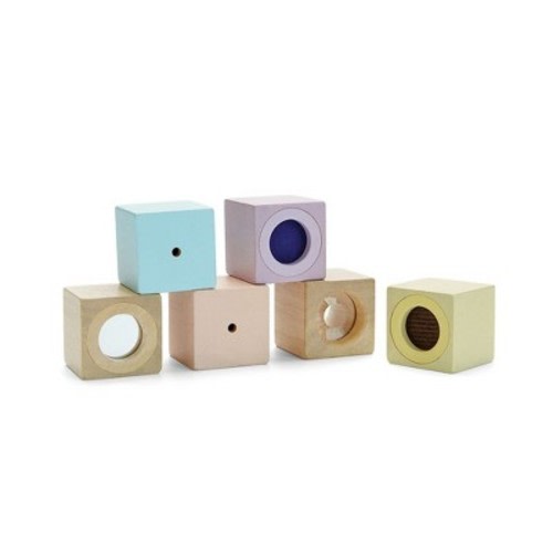Plantoys| Sensory Blocks