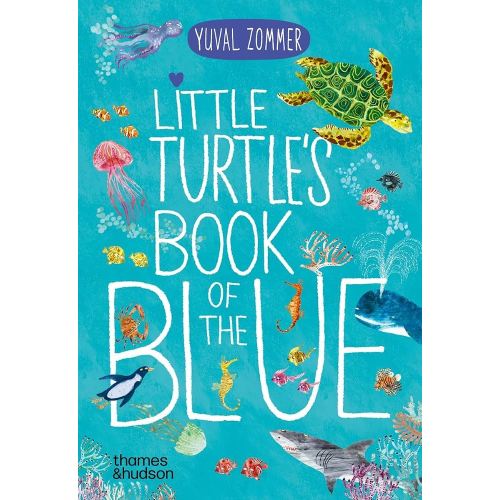 Little Turtle's Book of the Blue - Board Book