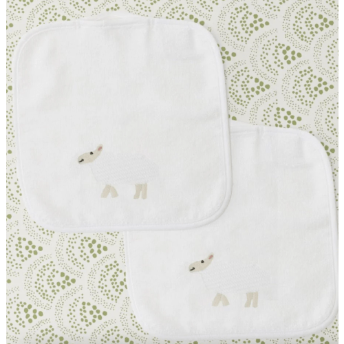 Baby Washcloths (pair)