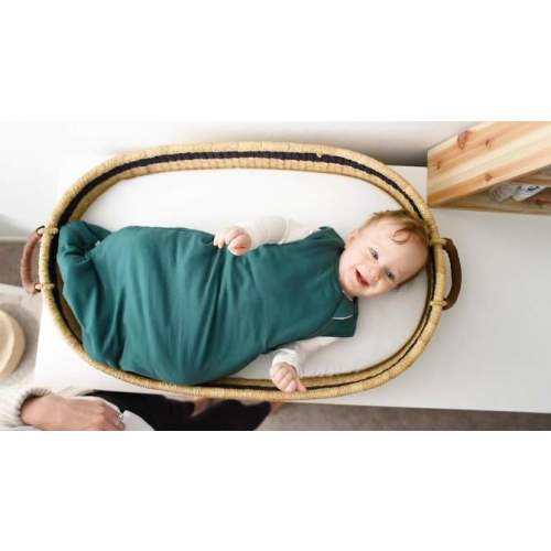 Kyte Baby Sleep Bag Wearable Blanket 1.0 Tog