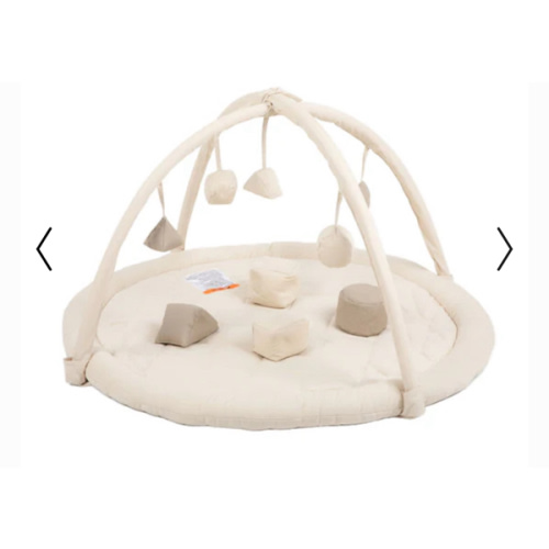 Snuggle Me - Play Gym