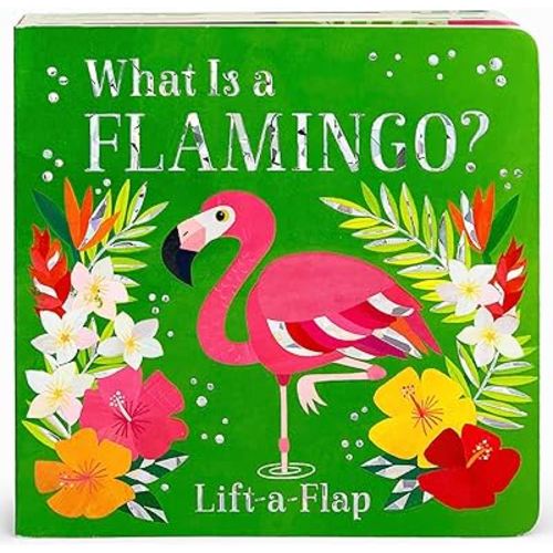 What Is a Flamingo?