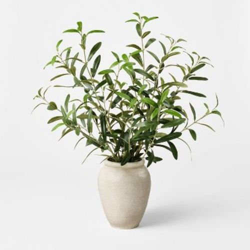Large Olive Leaf Arrangement - Threshold™ designed with Studio McGee