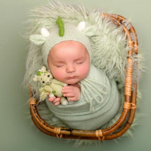 Newborn Dragon Set, Green Knitted Bonnet, Felted Dragon Toy, Baby Coming Home Outfit, New Mom Gift Basket, Dragon Themed Gift, Photo Props