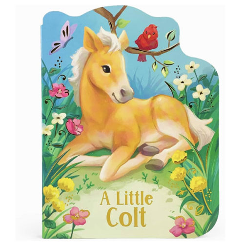 A Little Colt: A Baby Horse Board Book Story