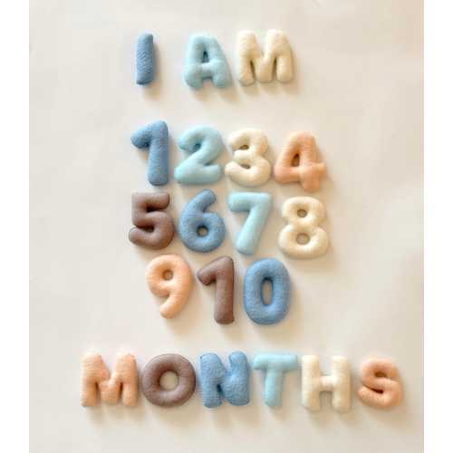 Felt Numbers and Letters for Baby Milestone Photos, Monthly Age Props, Newborn Photo Decor, baby month tracker, monthly milestone blocks