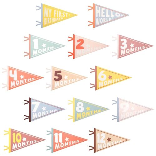 14pcs Baby Milestone Flags, Felt Monthly Milestone Pennant Flag Colorful Baby Milestone Signs for Newborn Baby Shower 1st Birthday Party Decorations (Pattern 1)