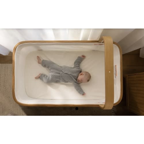 Cradlewise Crib $1,500