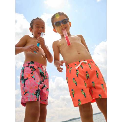 The Talk Of The Tropics