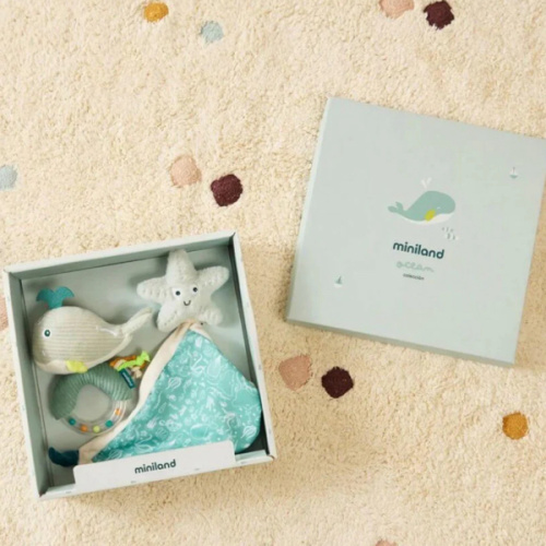 Little Whale Baby Gift Set