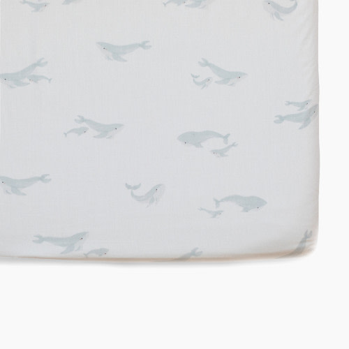 Pehr Brushed Organic Cotton Crib Sheet - Follow Me Whale