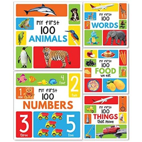 My First 100 Box Set- A Pack of Five Picture Books for Children (Animals, Words, Numbers, Food We Eat and Things That Move)