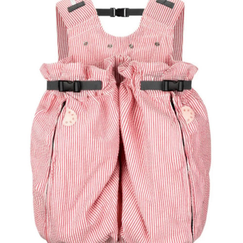 The Weego TWIN Baby Carrier