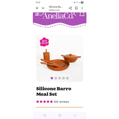 Silicone Barro Meal Set – Anelia Co.
