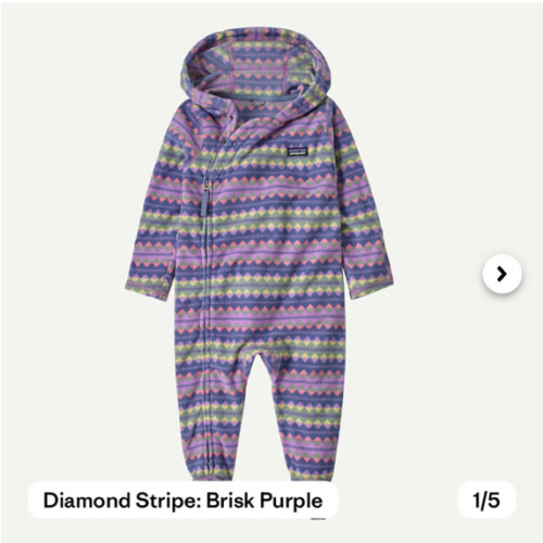 Patagonia Infant Micro D® Fleece Bunting