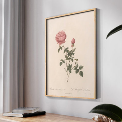 " Vintage Floral Print CXLIII " on Paper | Wayfair