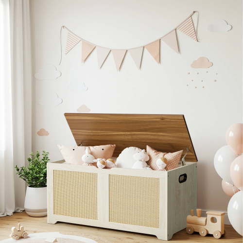 Erinnyees 39.4" Rattan Storage Chest, Storage Bench, Toy Chest, Shoe Bench, with Double Soft - Close Hinges, for Entryway, Bedroom, Living Room, Supports 300 lb