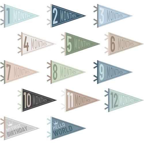 14 Pcs Baby Milestone Pennant Signs Monthly Newborn Birthday