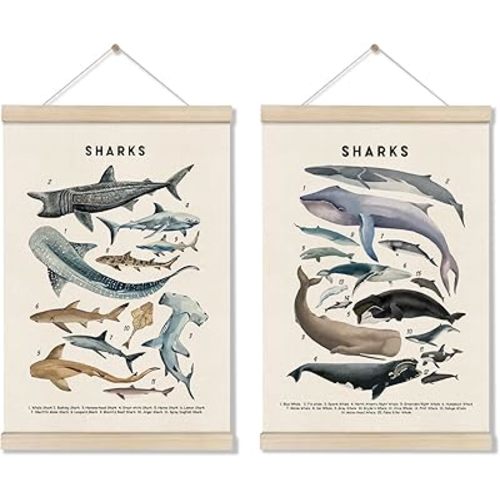 DOI-LANEE Shark Poster Hanger Frame, Set of 2 Shark Canvas Wall Art 16x12 Inch, Kids Educational & Learning Posters, Ocean Room, Sea Animal Decor for Playroom Classroom, Ocean Animals Wall Decor