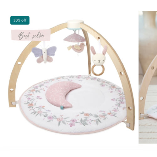 Baby Gym | Premium Baby Activity Gym | aden + anais