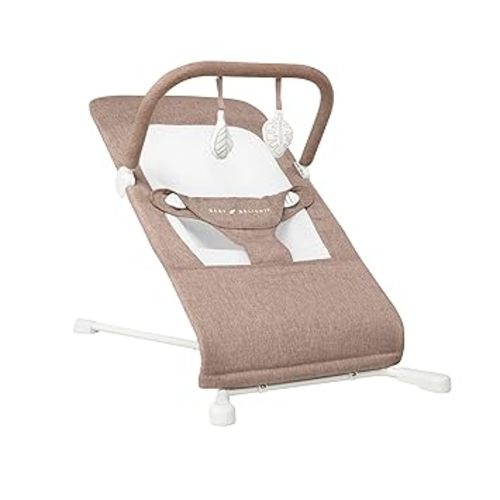 Baby Delight Highland Baby Bouncer | Infant | 0 – 6 Months | 3-Position Recline | Mocha Tweed
