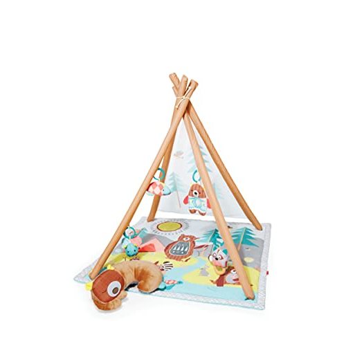 Skip Hop Baby Play Gym, Camping Cubs, Green, 96 x 92 cm