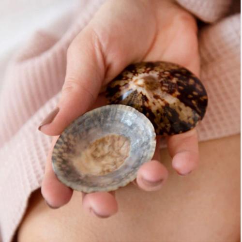 100% Natural Breastfeeding Seashells