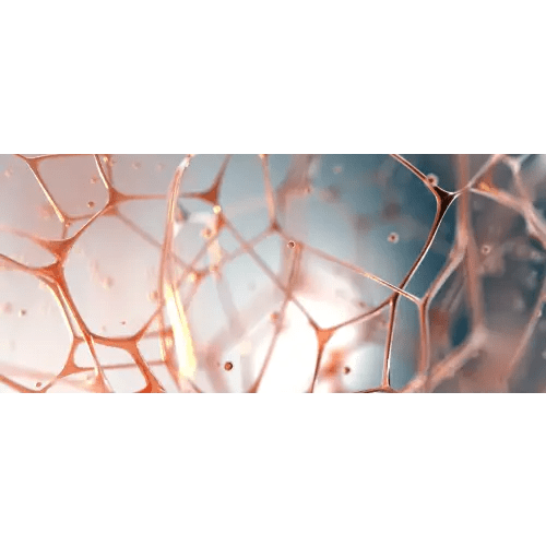 ViaCord Cord Blood and Cord Tissue Banking