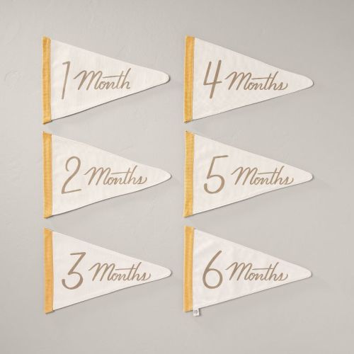 Newborn Milestone Pennants 6pc - Hearth & Hand™ With Magnolia