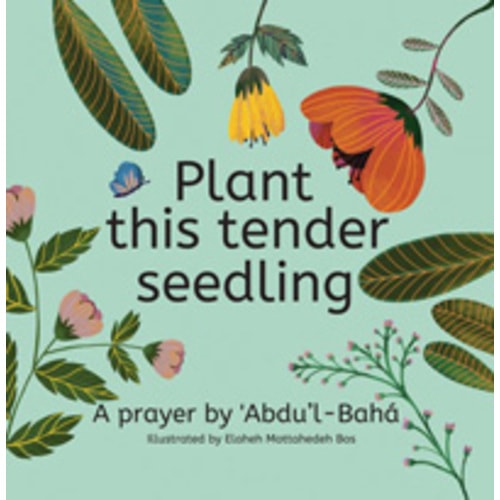 Plant this Tender Seedling