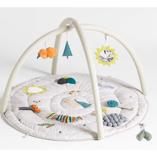 Busy Baby Activity Gym Play Mat