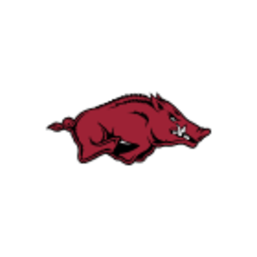 Hogs | Arkansas Gamezies Plush Mascot Pacifier Holder | Alumni Hall