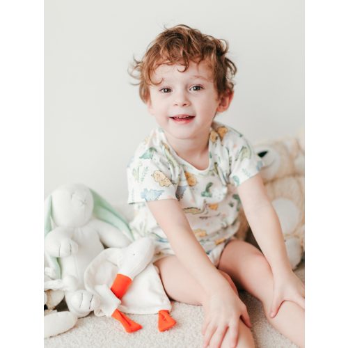 Lucy Goosey Flat Toy