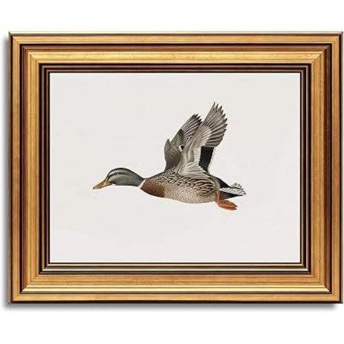 vineolect Vintage Mallard Duck Wall Art Gold Framed Wall Decor Minimalist Wildlife Farmhourse Painting Flying Duck Picture for Living Room Bedroom Kitchen 9''x11''