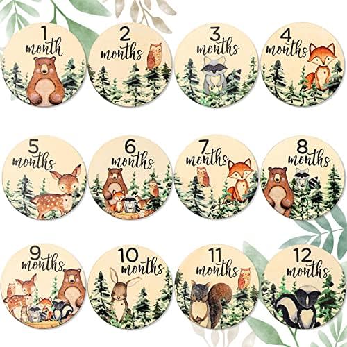 Whaline 12Pcs Woodland Baby Monthly Milestone Cards Milestone Wooden Discs Double-Sided Cute Animal Baby's First Year Age Announcement Sign for Newborn Baby Photo Props Gift