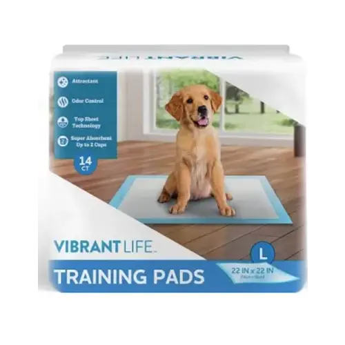 puppy pads - Google Search