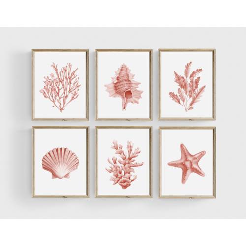Coral seashells prints set of 6. Coastal printable wall art. Beach house art prints. Watercolor sea life posters. Pink seaweeds nautical art