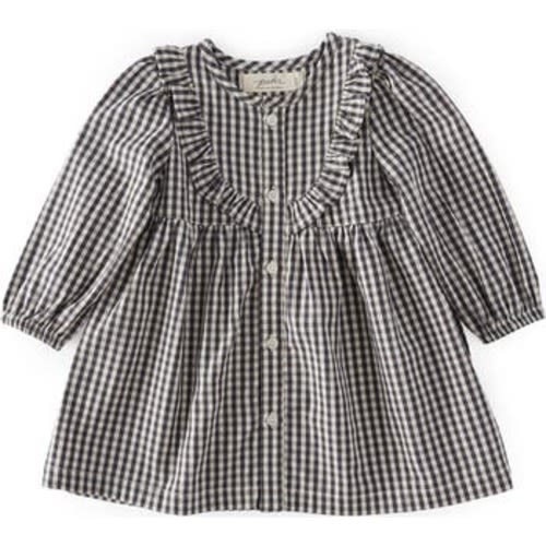 Gingham Ruffle Organic Cotton Dress, 6-12M