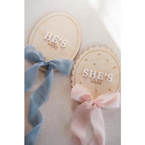 Surprise Gender Reveal Sign for Hospital: He's Here and She's Here Birth Announcement Plaque