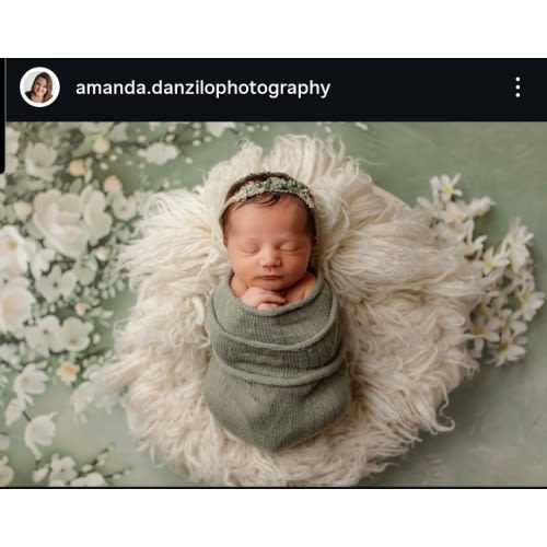 Newborn Session Gift for Alexis | Amanda Danzilo Photography