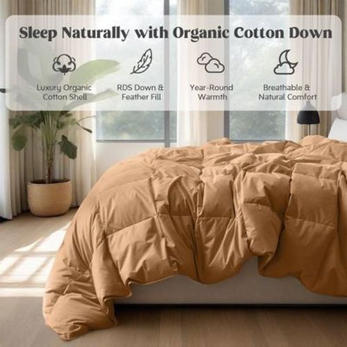 Puredown All Season Organic Cotton Down Comforter - 100% Natural, Chemical-Free, Medium Warmth Duvet Insert, Fawn, Cal King