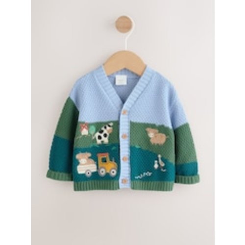 Buy Blue/Green Baby Embroidered Cardigan (0mths-2yrs) from Next USA