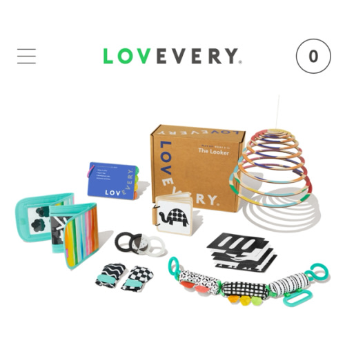 Lovevery 6 Play Kits (first year)