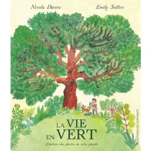 La vie en vert : l'histoire des plantes de notre planète de Nicola Davies | Jeunesse | Documentaires | Livres en français et autres langues | leslibraires.ca | Acheter des livres papier et numériques en ligne