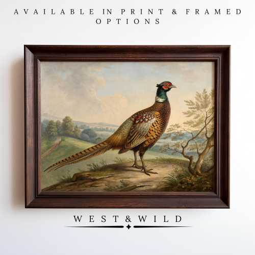 Pheasant Fowl Painting Vintage Wall Art Print Rich Framed Bird Artwork of Antique Illustration for Cottage With Framed Prints Bird Hunter
